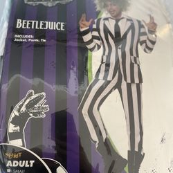 Beetle Juice Halloween Costume Size M