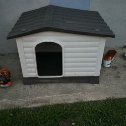 Dog House 