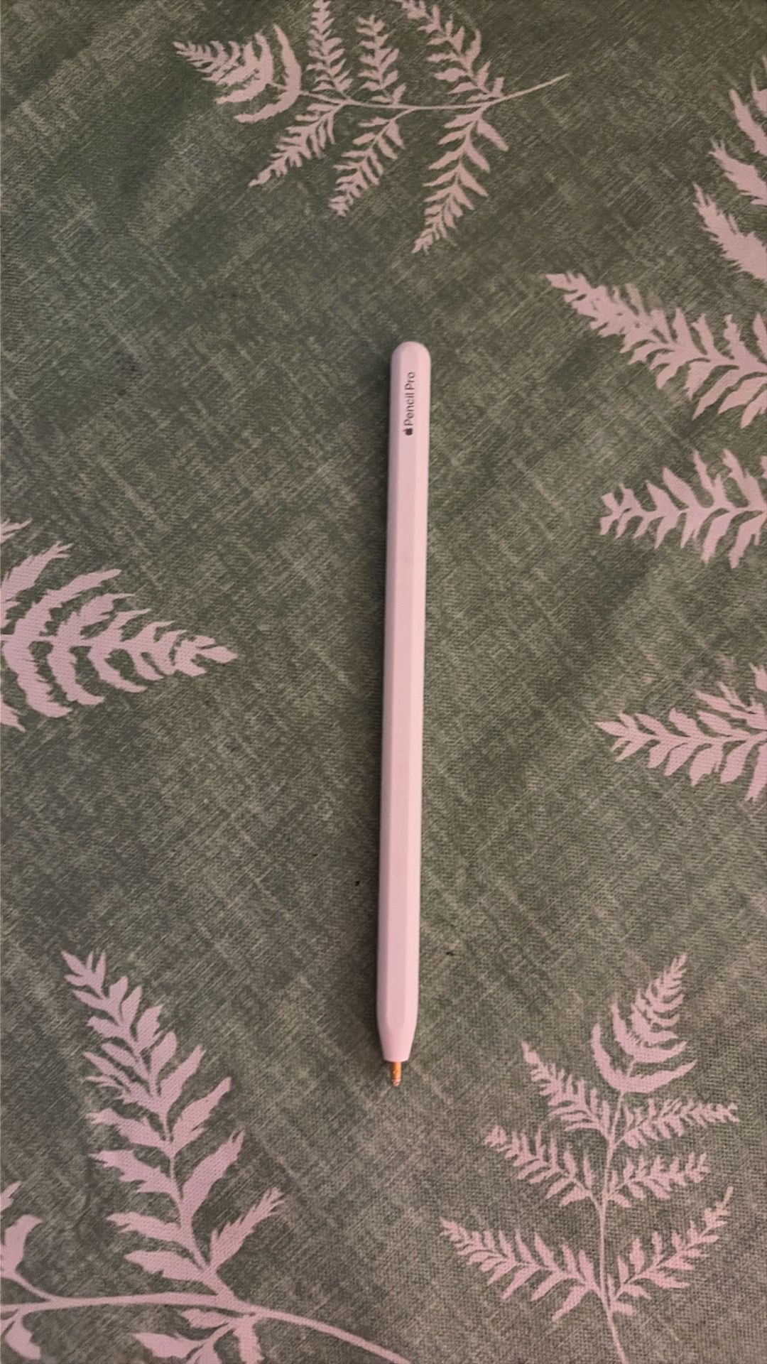 Apple PencilPro