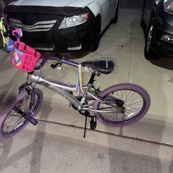 20” G Radium Bikes 