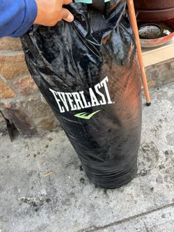 Everlast Punching Bag 