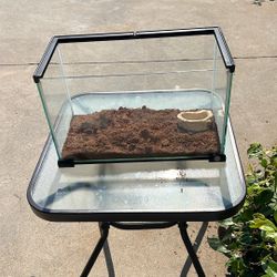 Glass Terrarium 