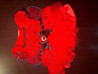 Red and Black Polka Dot ladybug  costume