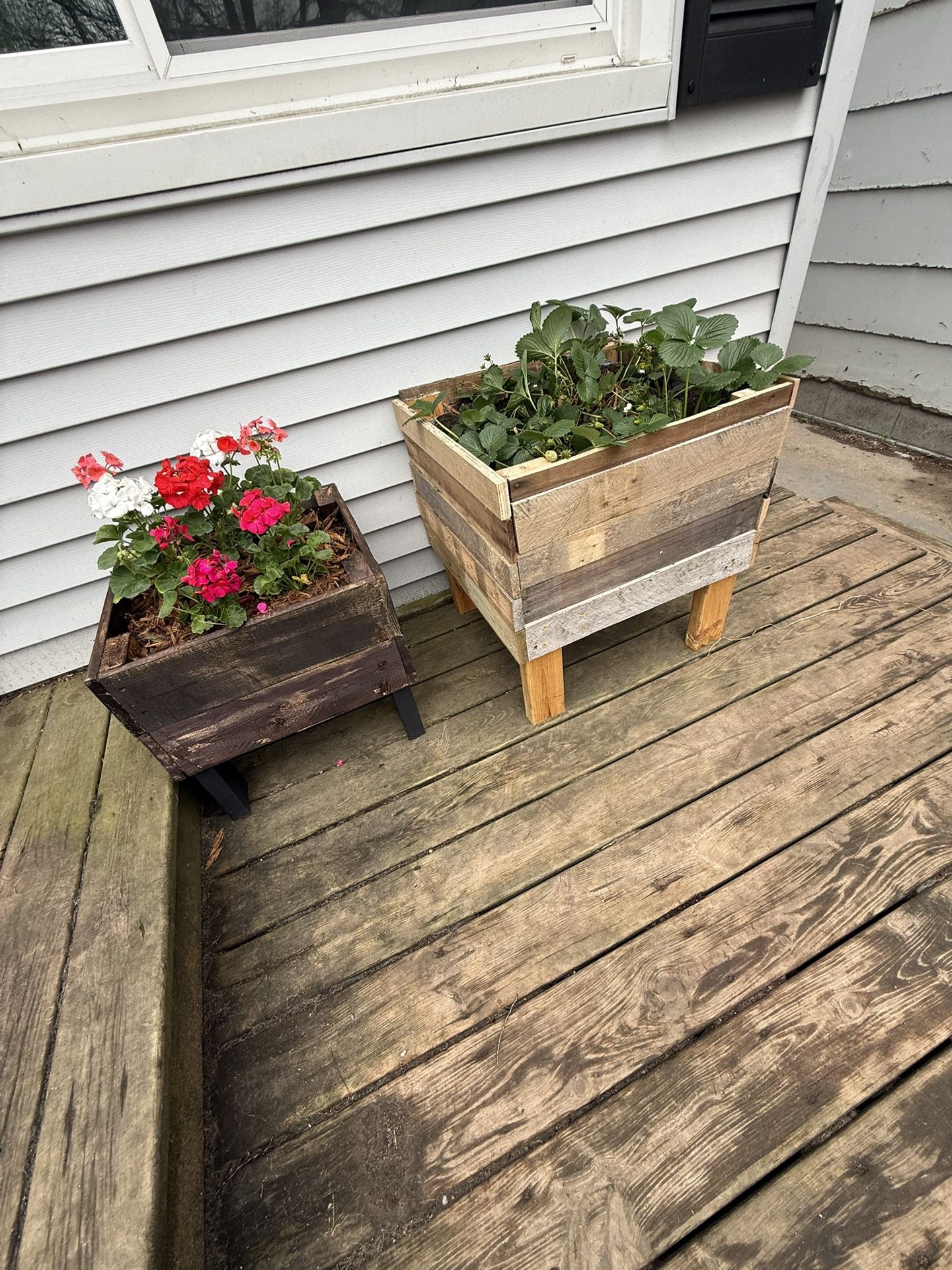 Raised Flower Box