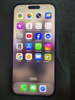 Apple iPhone 15 pro max 256 gigabytes with Dynamic Island