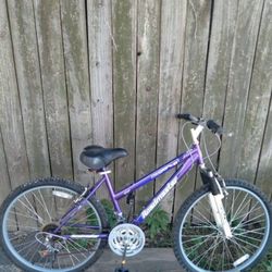 Roadmaster  Bike 26in