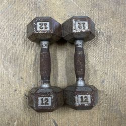 12lbs Dumbbells Weights 