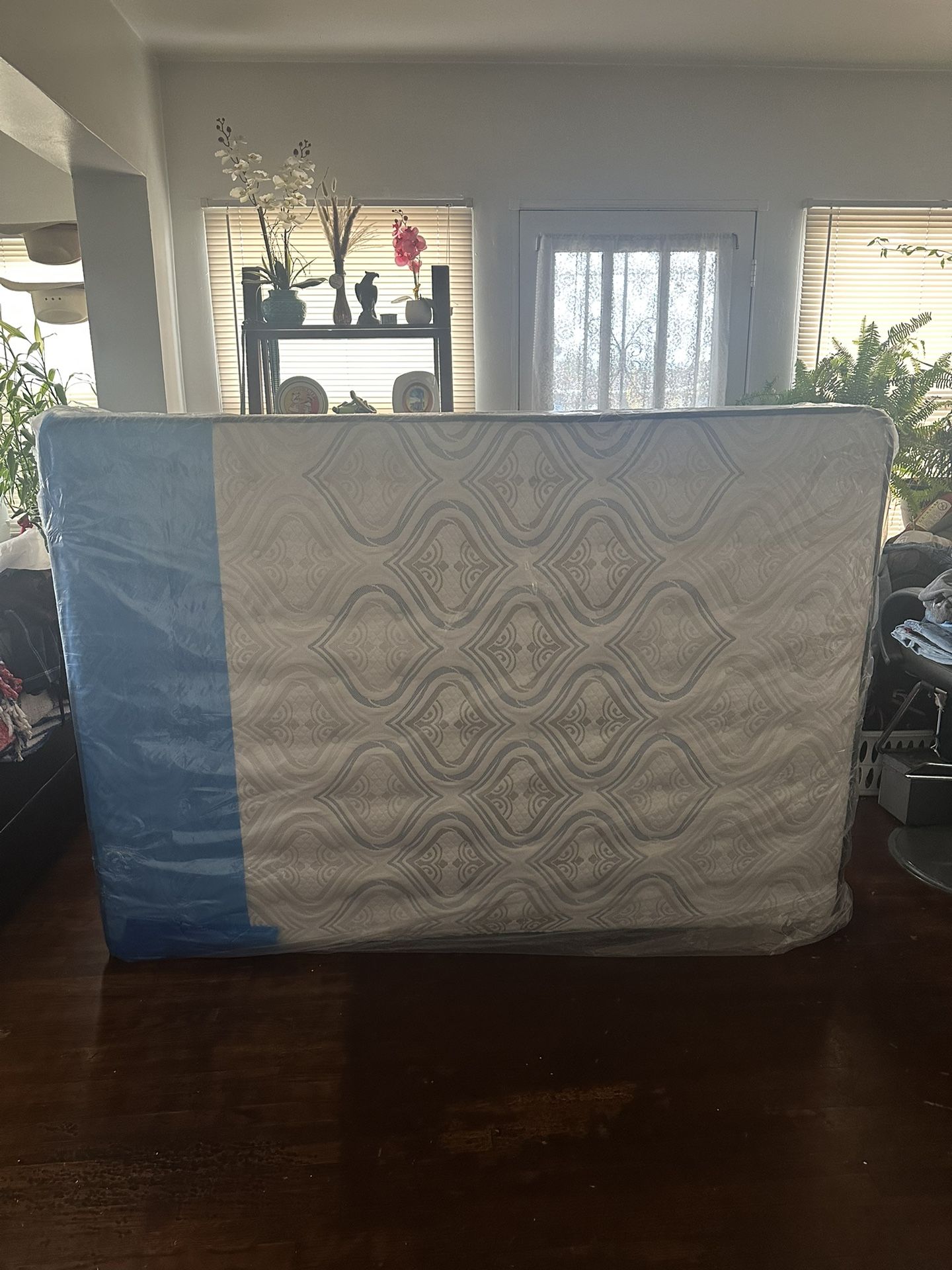 Size *FULL* Mattress Brand New In Plastic. Colchon Nuevo