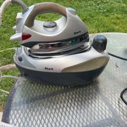 Steam Generator Iron 