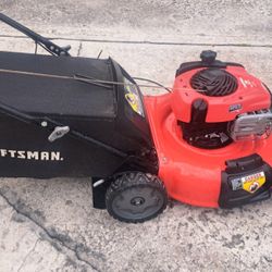 Push Mower-21 Inch Cut 