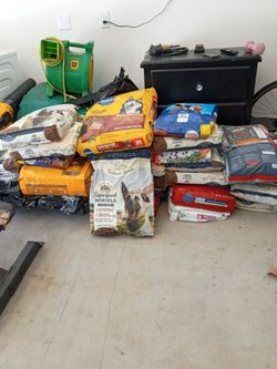 Dog food
