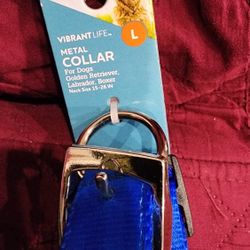Vibrant Life Nylon Fashion Dog Collar, Blue, L
