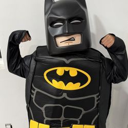 Lego Batman DC Halloween Costume Kids 
