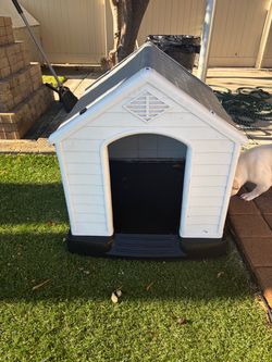 Dog house