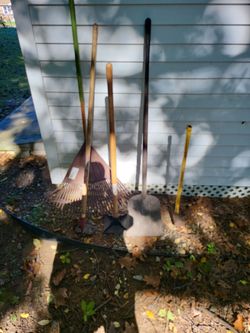 Lot of Yard Tools