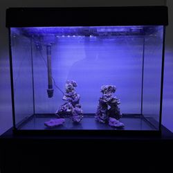 Beautiful 40 gal all-in-one Saltwater Tank