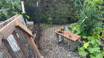 Chicken/animals wires free lots of them
