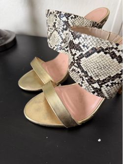 Women’s snake skill, design, heel shoes Women’s snake skin, design, heel shoes