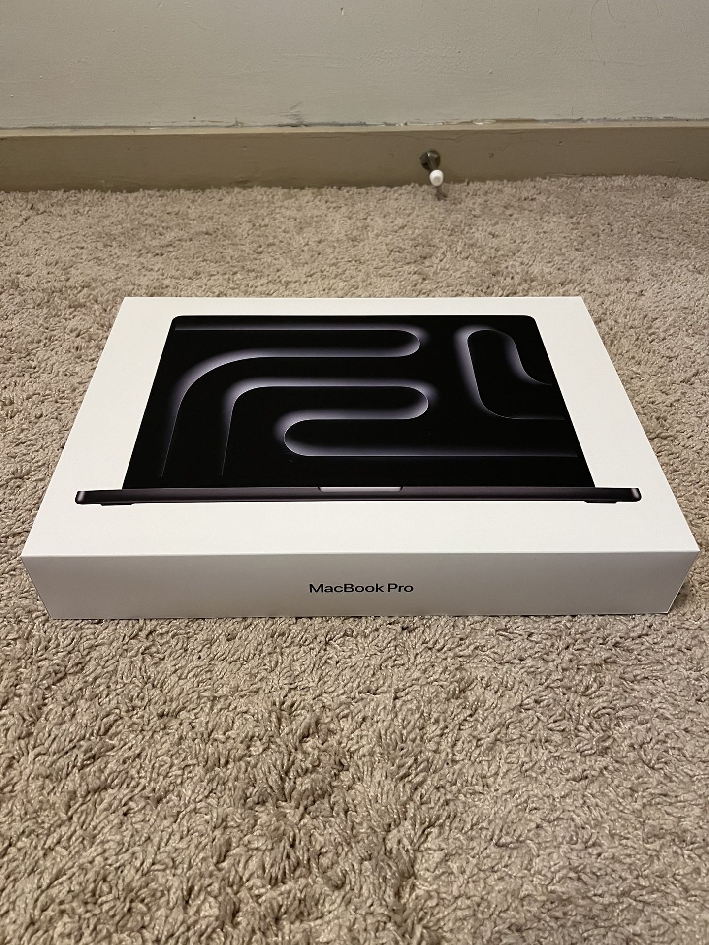 Apple 2024 M4 MacBook Pro 512Gb 48Gb