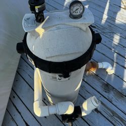 Pool And Spa Filter