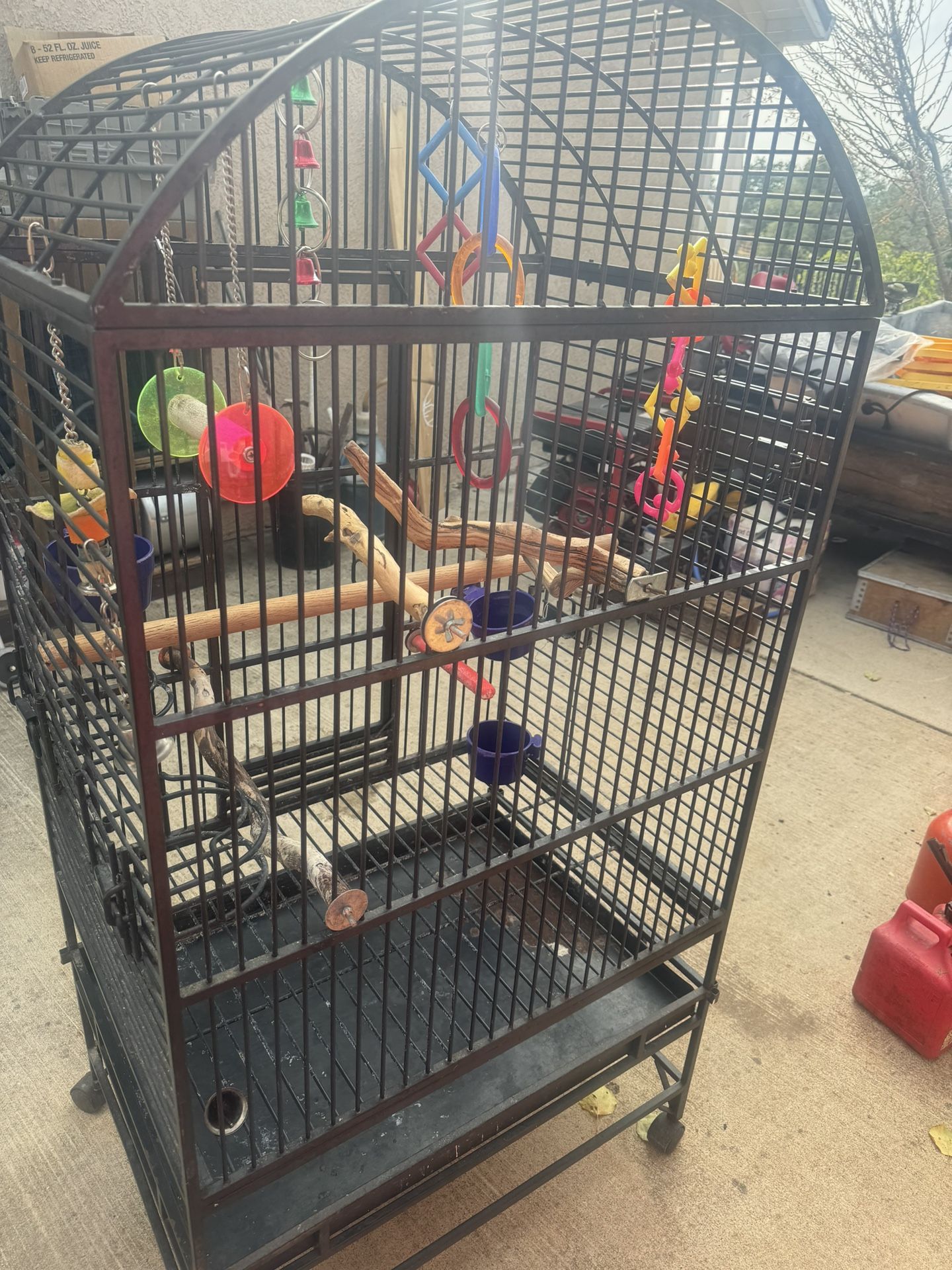 Bird Cage