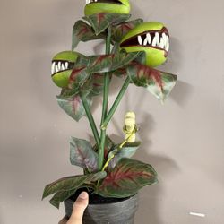 Halloween Decorations 