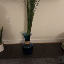 Plant Home Decor