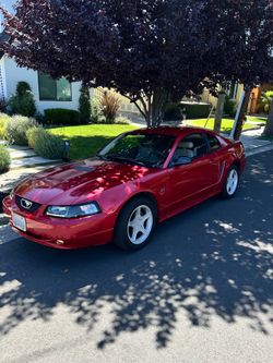 2000 Ford Mustang