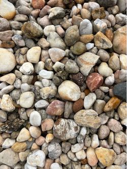 FREE- Rocks for Garden!