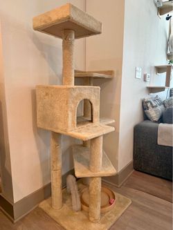 Cat Scratching Tree Towers