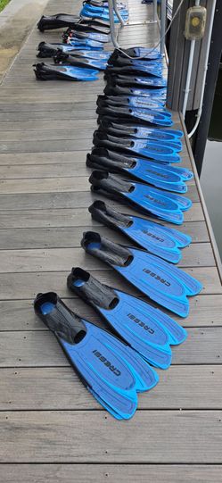 Snorkel / Dive Fins