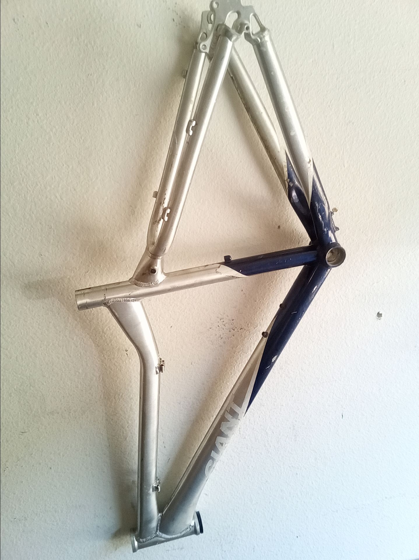 Giant bike frame