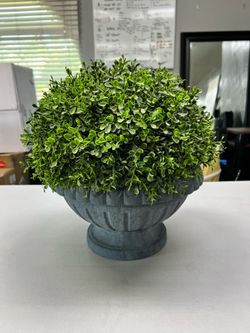 Plant decor
