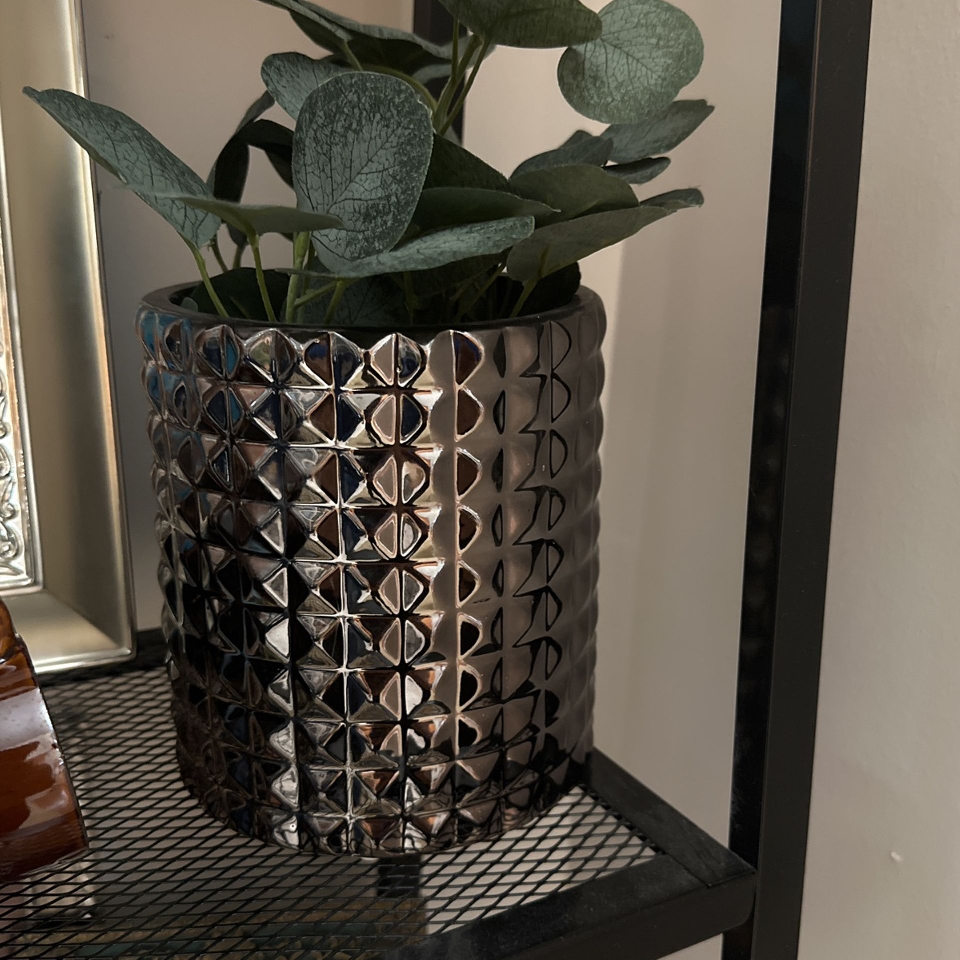 Decoration Plants
