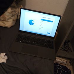 HP 255 G10 Laptop PC