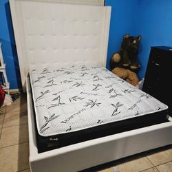 Brand New Queen Bed With Orthopedic Bamboo Matt $399