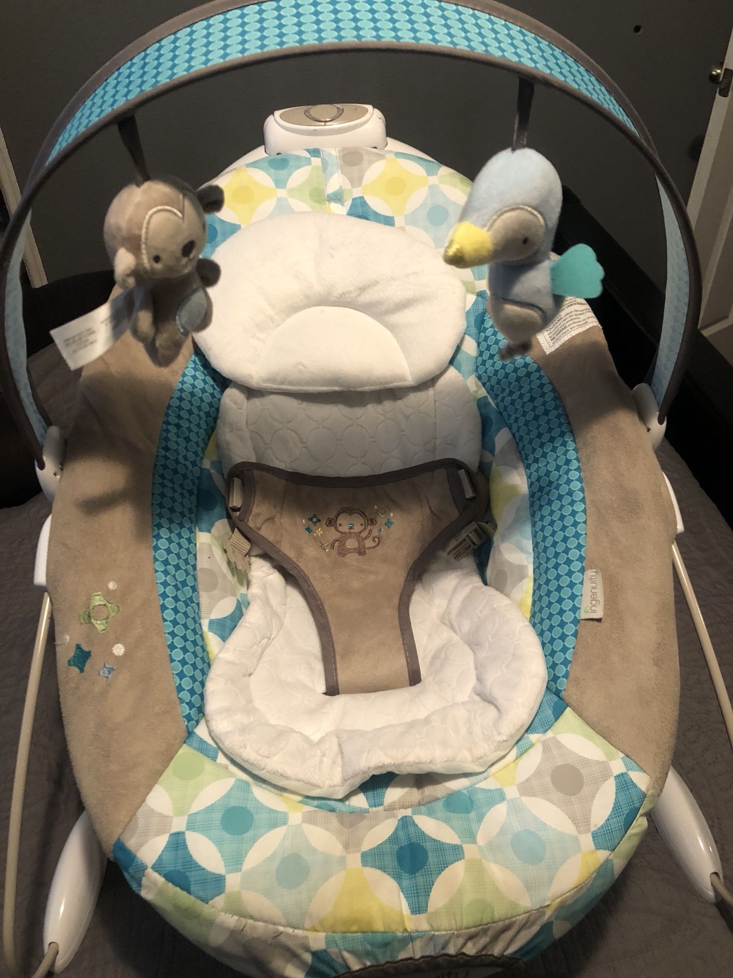 Ingenuity Smart Bouncer
