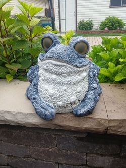 Outside Decor  🐸