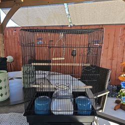 Bird Cage