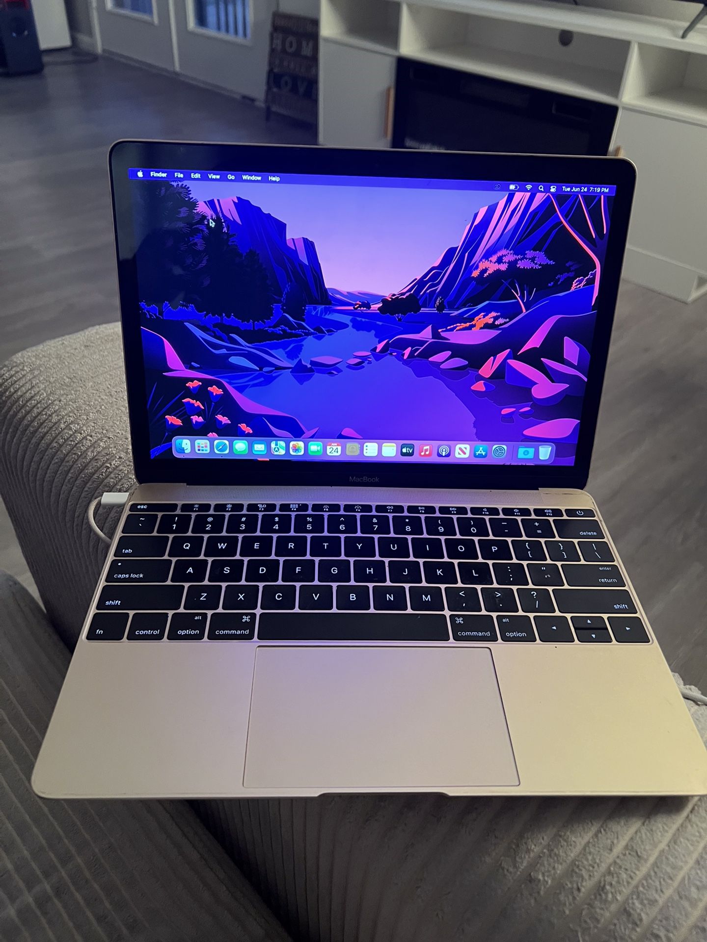 MacBook Gold With Charger