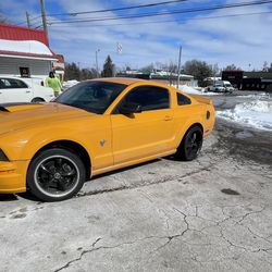 2009 Ford Mustang