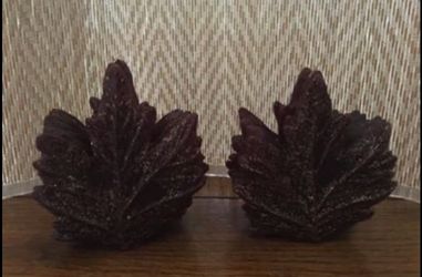 Leaf wax candles