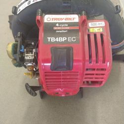 Troy Bilt Leaf Blower 
