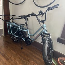 Like New Cargo E-bike Rad Wagon 5