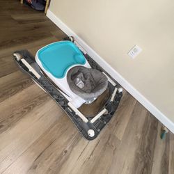 Baby Push or Seated Walker