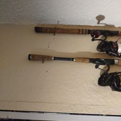 Bull Bay Assault/Daiwa Ballistic LT4000D-C