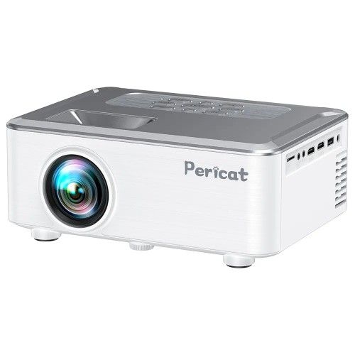 Video Projector Outdoor Camping Movie Night Screen Included NO TRADES NO DELIVERY
