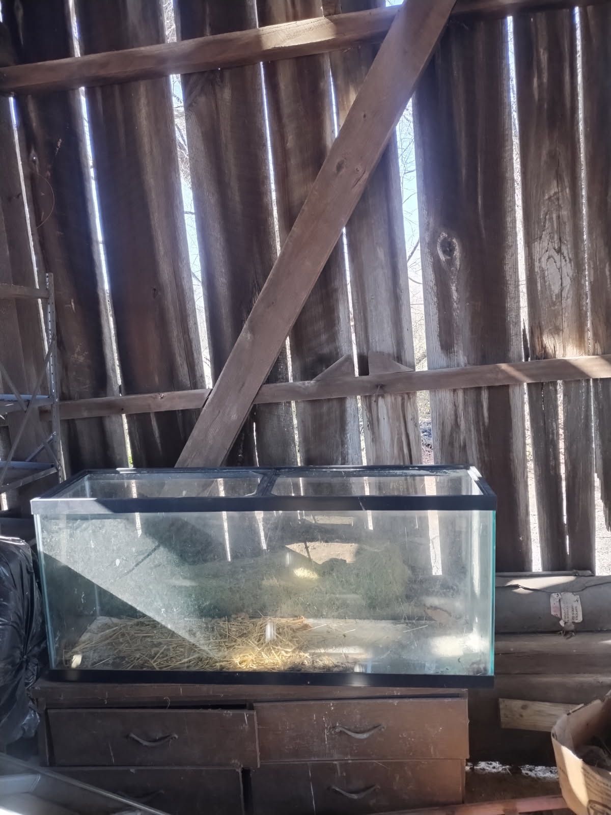 20 Gallon Fish Tank
