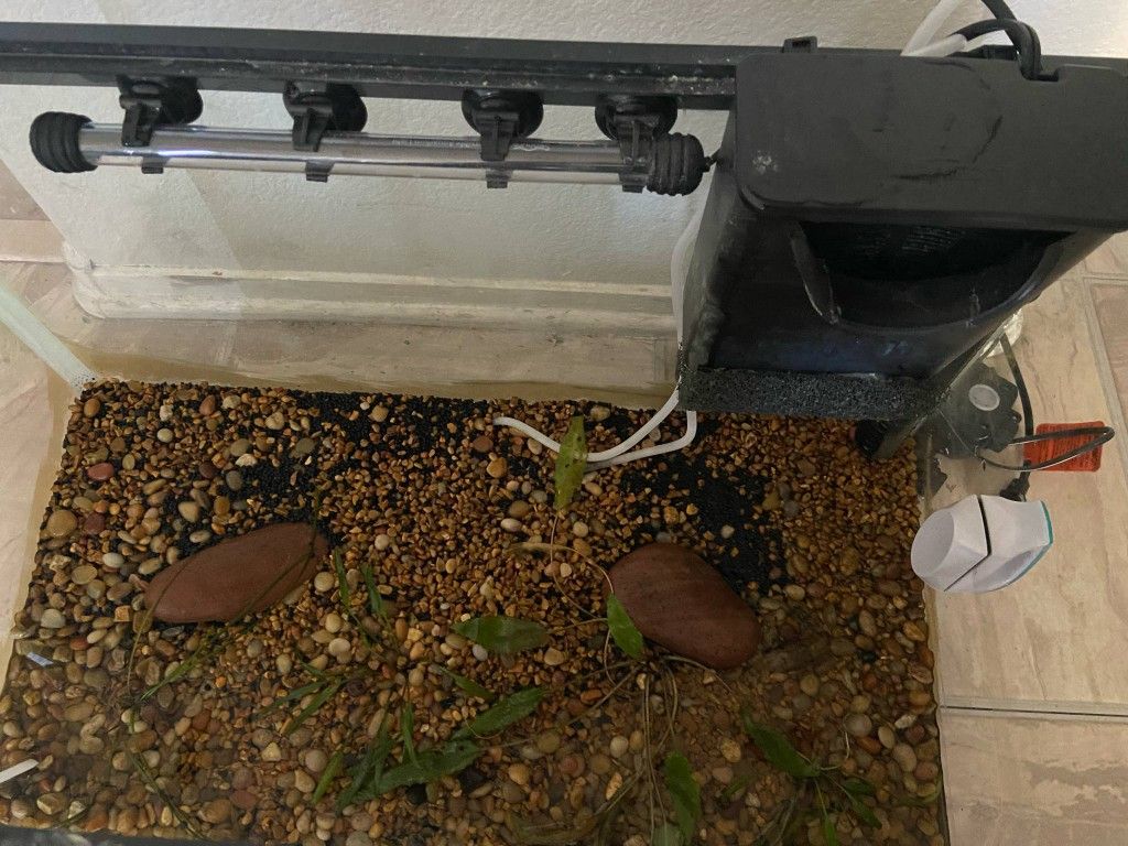 Fish Tank 20 Gallon