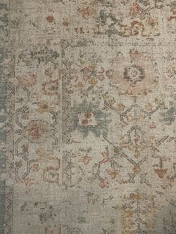 8x10 Indoor/Outdoor Rug
